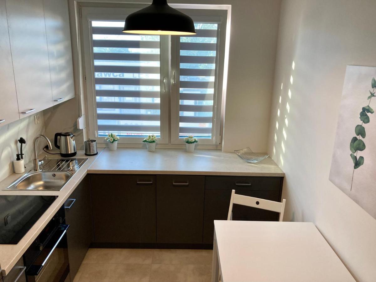 Apartament Lagiewniki クラクフ エクステリア 写真