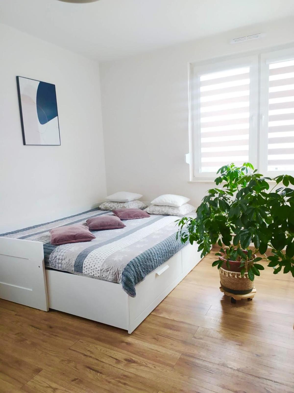 Apartament Lagiewniki クラクフ エクステリア 写真